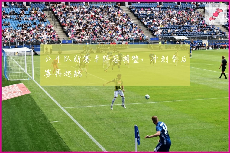 公牛队新赛季阵容调整，冲刺季后赛再起航